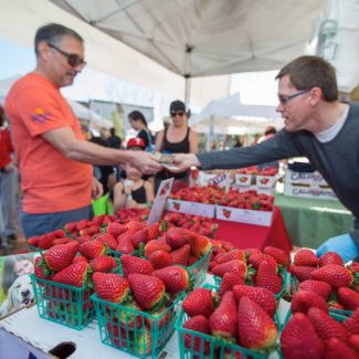 man buying strawberries at farmers market