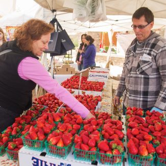 woman selling strawberries at farmers market