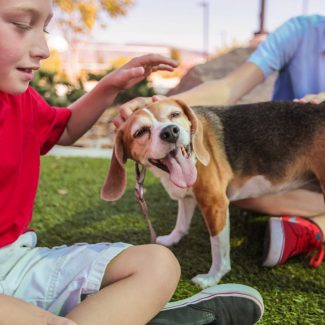 kids petting beagle